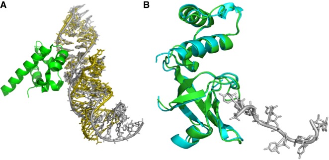 FIGURE 1.