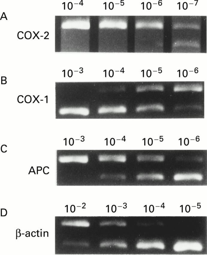 Figure 2  