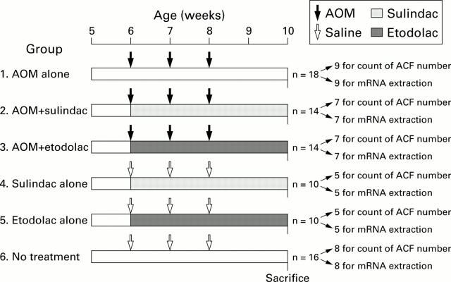 Figure 1  