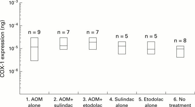 Figure 5  