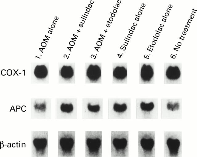 Figure 3  