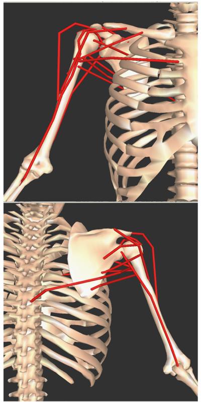 Fig. 1