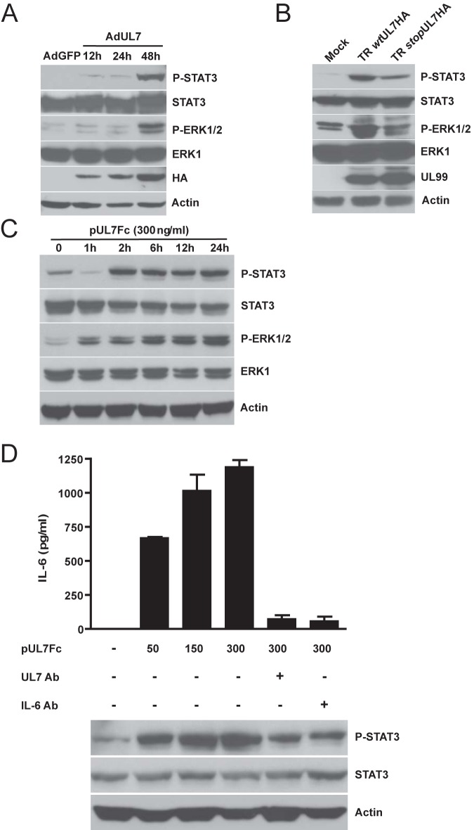 FIG 6 