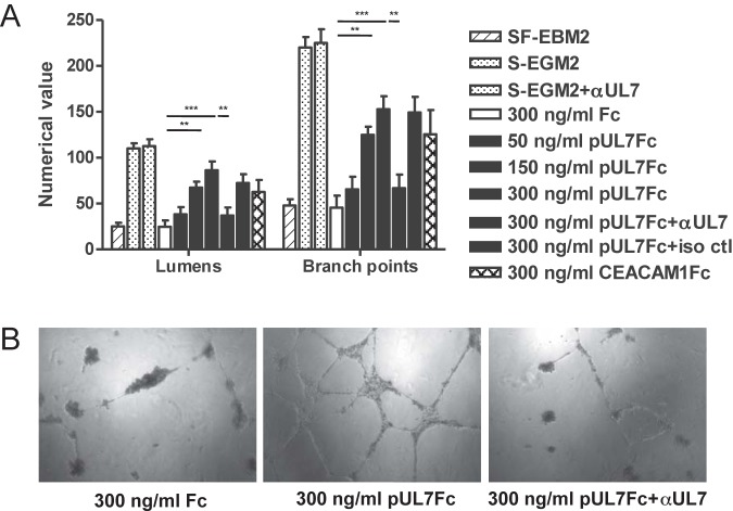 FIG 4 