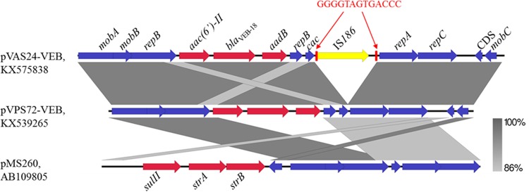 FIG 1