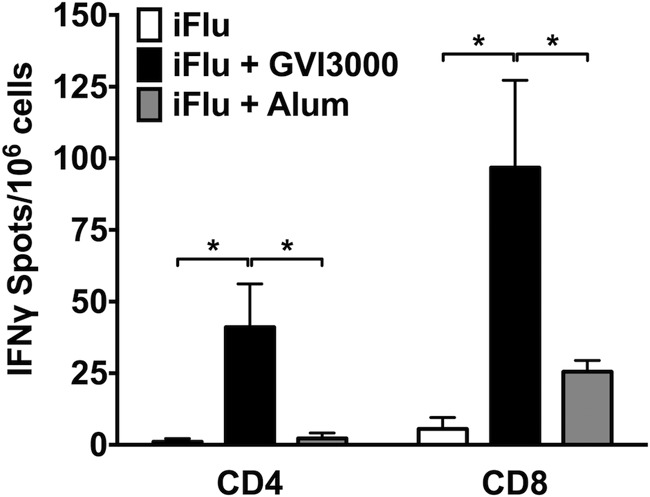 FIG 2