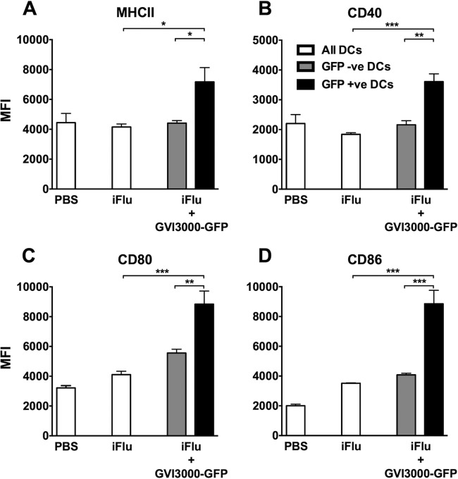 FIG 6