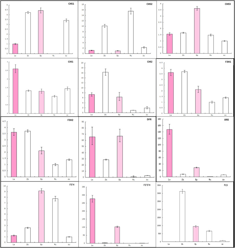 Figure 5