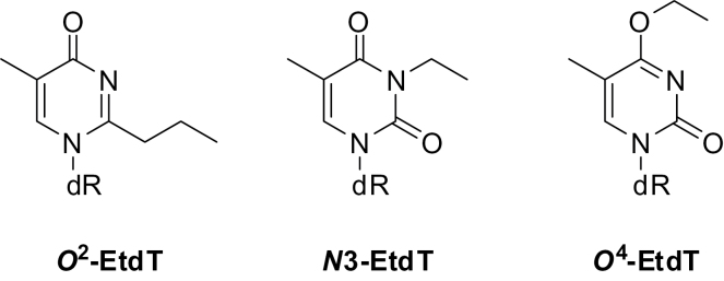 Scheme 1.