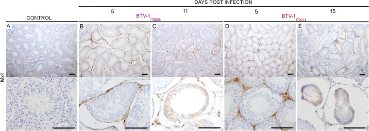 FIG 9