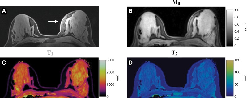 Figure 4: