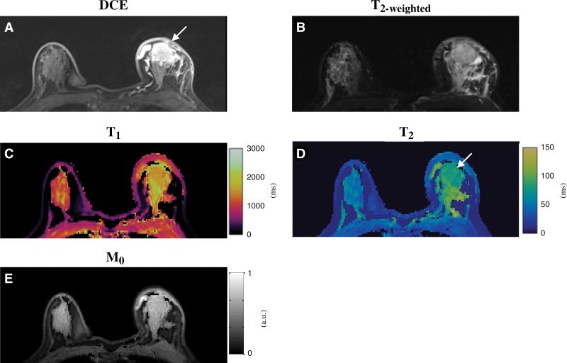 Figure 6: