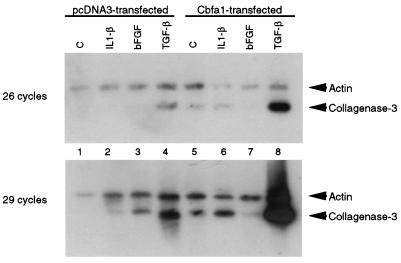 FIG. 8