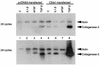 FIG. 8
