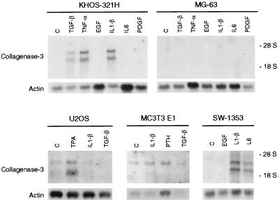 FIG. 6