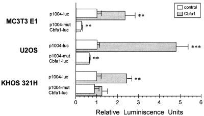 FIG. 7