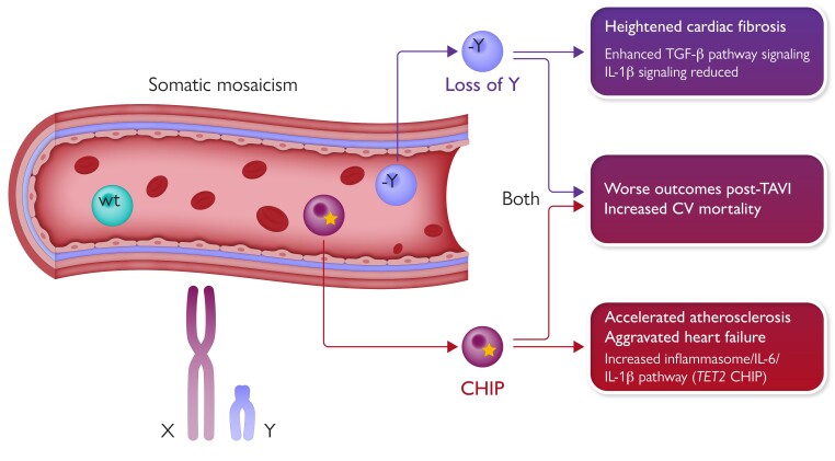 Graphical Abstract