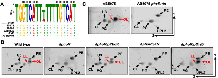 Figure 5: