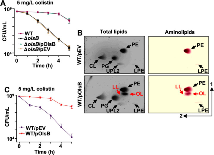 Figure 4: