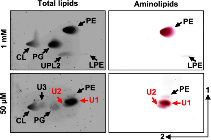 Figure 1: