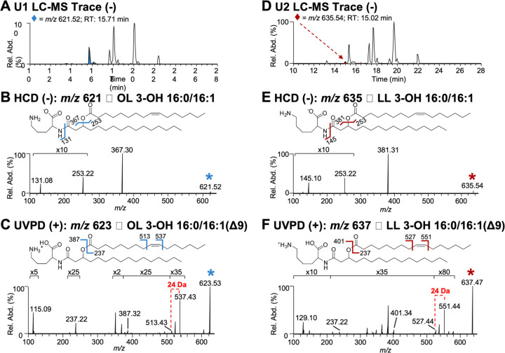 Figure 2: