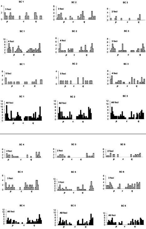 Figure  3