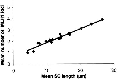 Figure  2