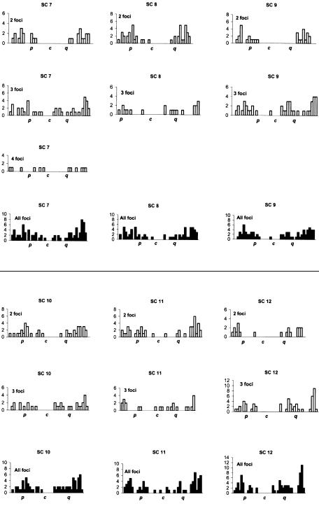 Figure  3