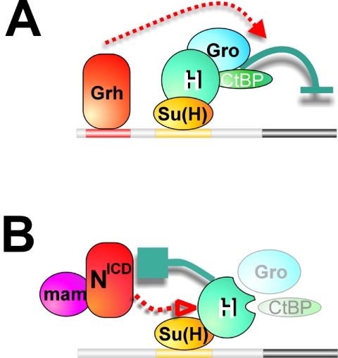 FIG. 5.