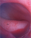 Fig. 5