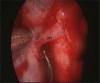 Fig. 10