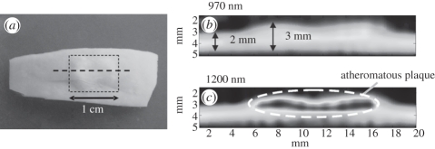 Figure 13.