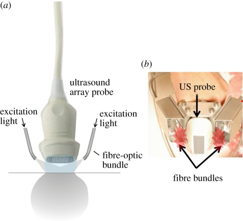 Figure 7.