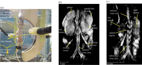 Figure 5.