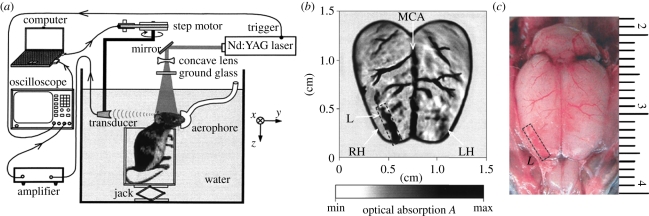 Figure 6.