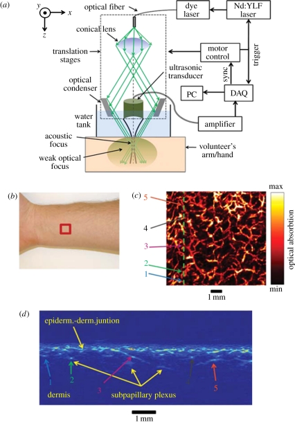 Figure 10.