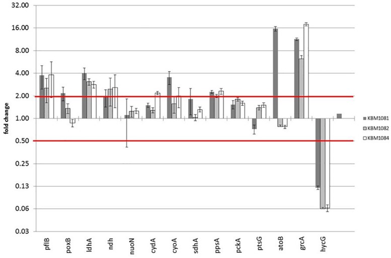 FIGURE 3