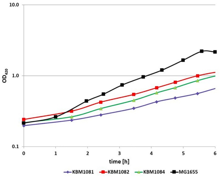 FIGURE 2