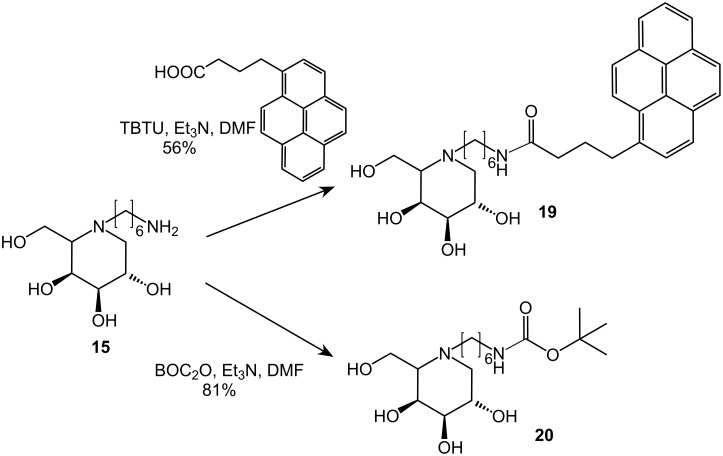 Scheme 4