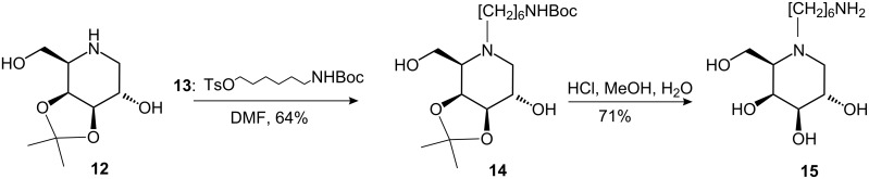 Scheme 2