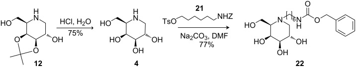 Scheme 5