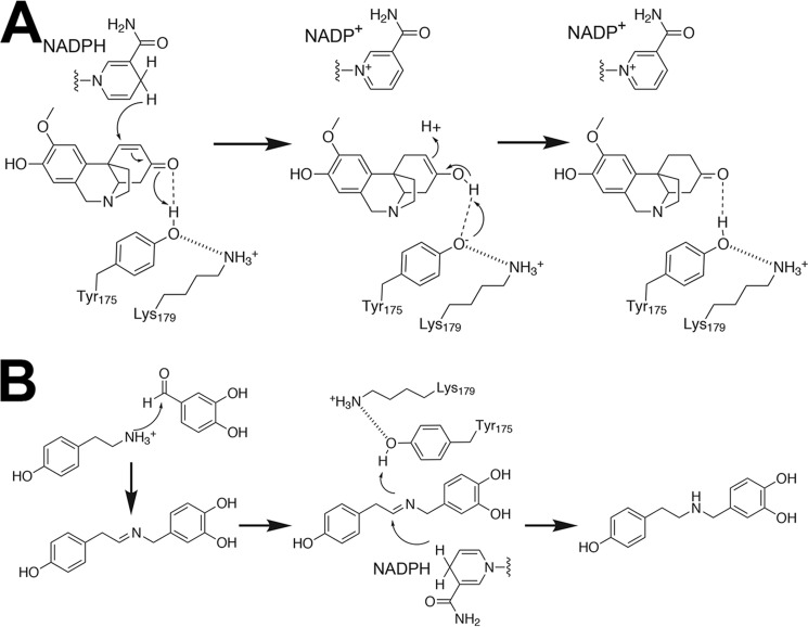 FIGURE 10.