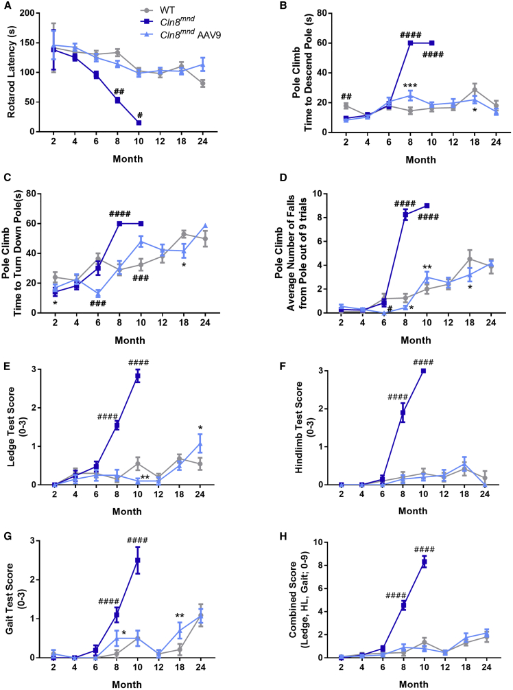 Figure 5