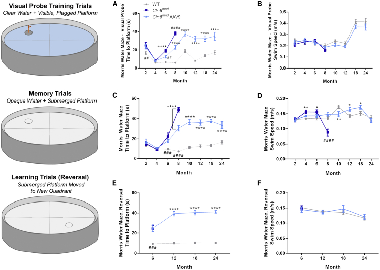 Figure 6