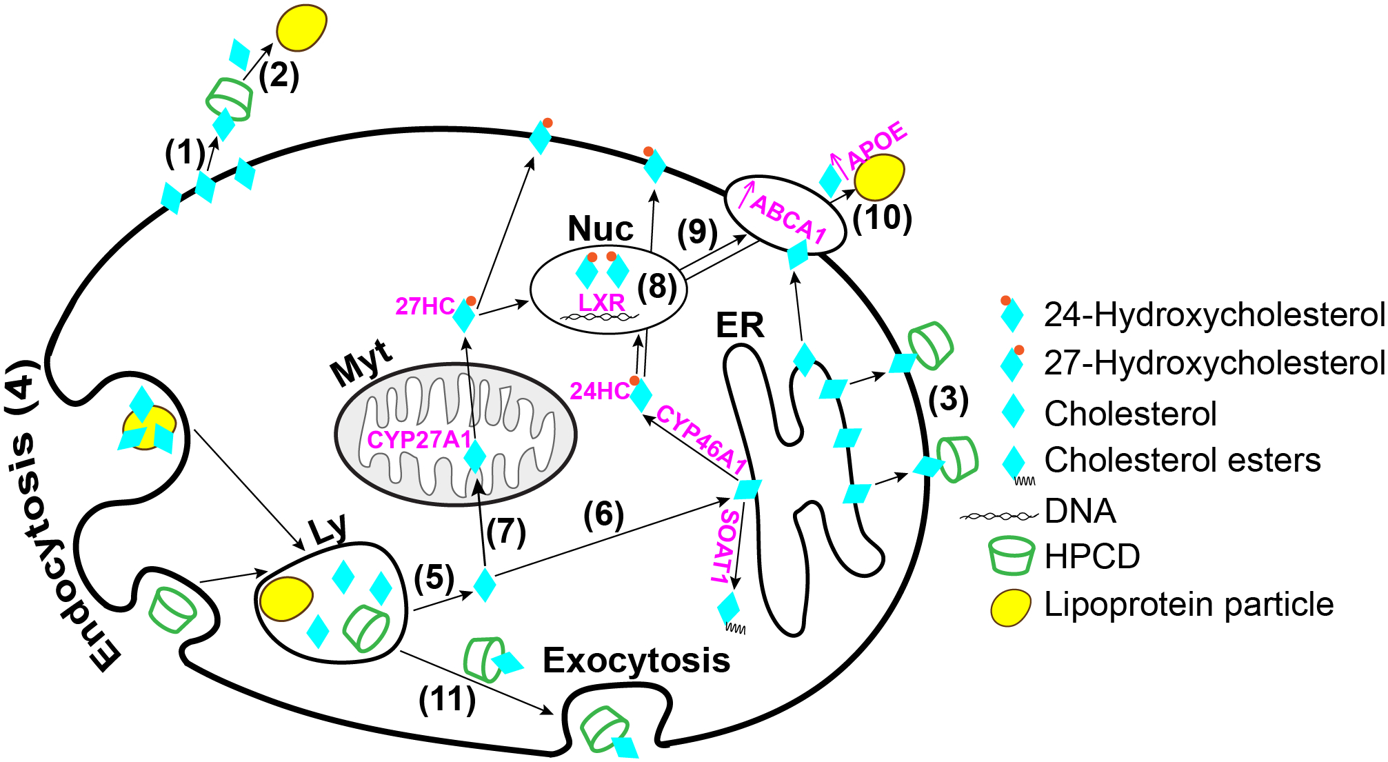 Figure 1.