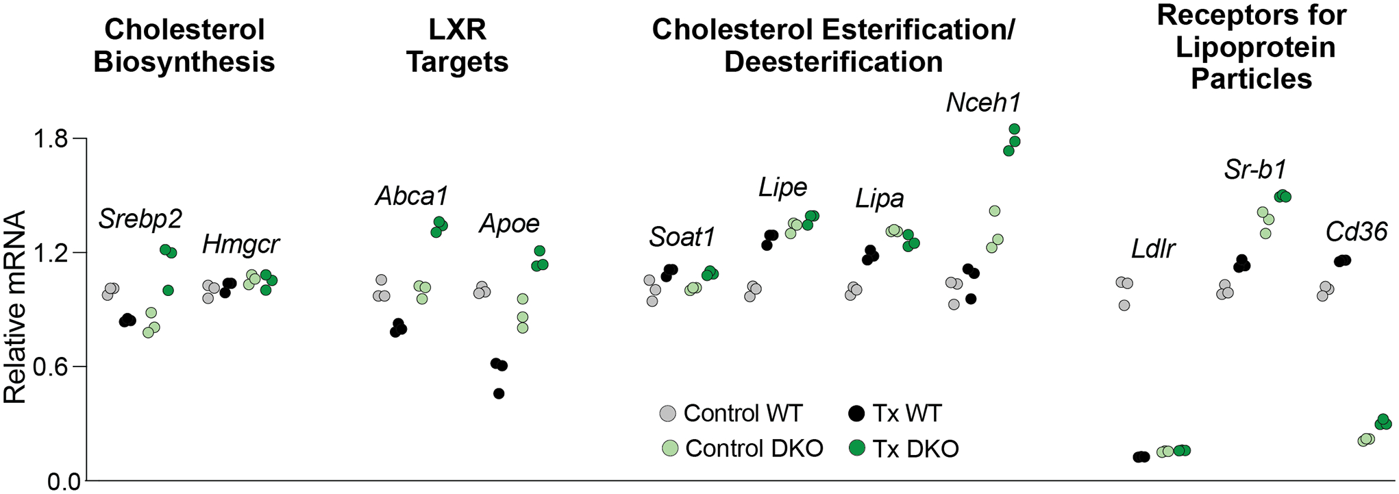 Figure 5.