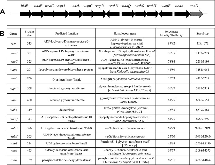 FIG 2