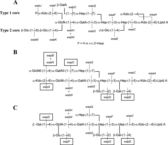 FIG 1