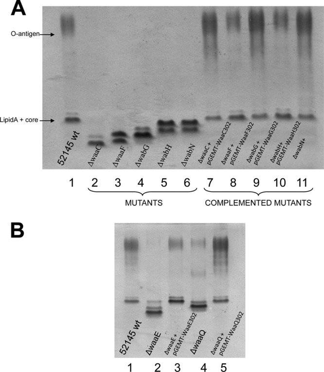 FIG 3