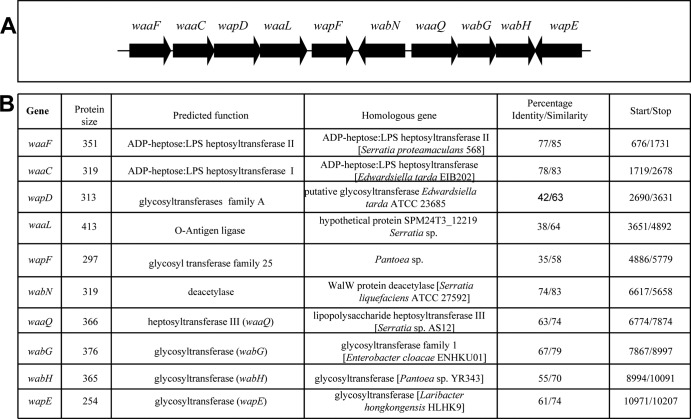 FIG 6